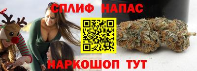 прущие крисы Владимир