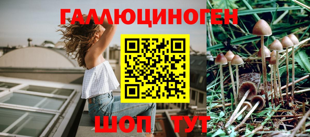 Псилоцибиновые грибы ЛСД Добрянка